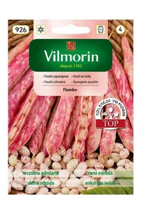Fasola szparagowa Flambo pstra 30 g Vilmorin - Nasiona i cebule - miniaturka - grafika 1