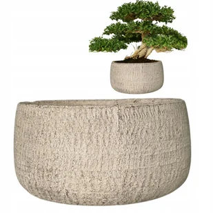 DONICZKA PŁASKA NISKA NA BONSAI DUŻA 24cm okrągła cementowa szara do salonu - Donice - miniaturka - grafika 1