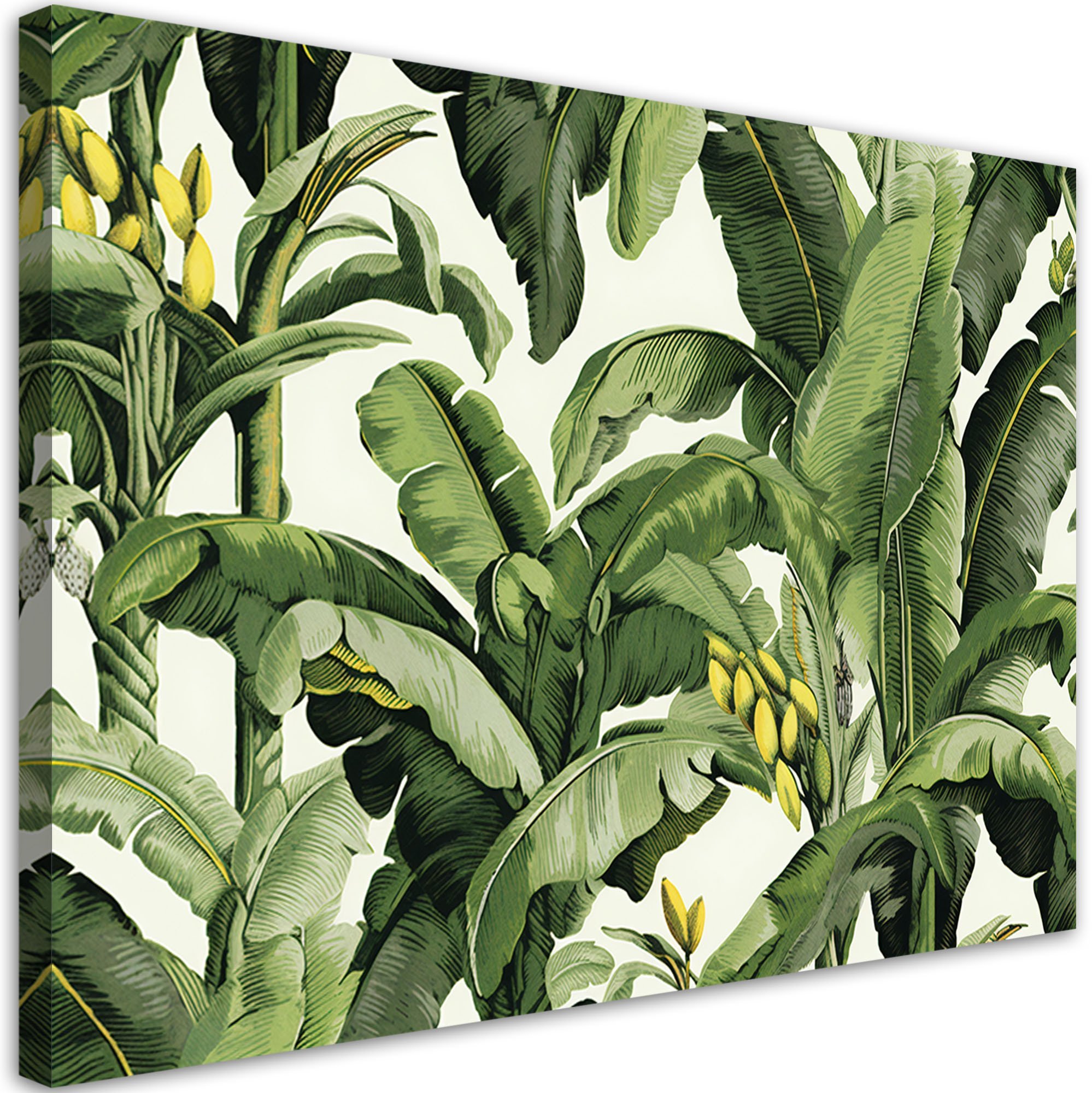 Feeby obraz na płótnie zielone liście bananowca 90x60 large