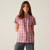 Koszule damskie - Regatta Damska koszula z krótkim rękawem Begarno Różowy, Rozmiar: 40 - miniaturka - grafika 1