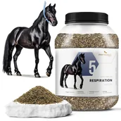 Pasze dla zwierząt - Phytoseo ziołowa mieszanka PHYTO HORSE 5 - na drogi oddechowe - 1,1 kg - miniaturka - grafika 1