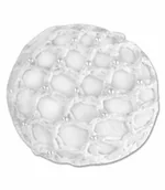 Akcesoria jeździeckie - Waldhausen Siatka na włosy z perełkami - miniaturka - grafika 1