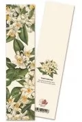 zakładka do książki 9114 fiori d'arancio kwiat - Zakładki do książek - miniaturka - grafika 1
