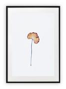 Plakaty - Plakat B1 70x100 cm Zieleń Kwiaty Natura Rośliny     WZORY - miniaturka - grafika 1
