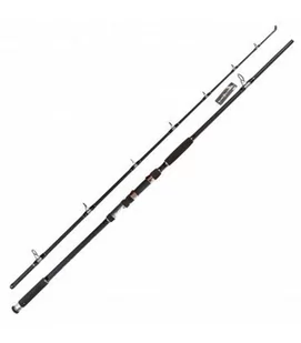 Wędki Jaxon Tenesa Catfish -550g 2,70 m - Wędki - miniaturka - grafika 1