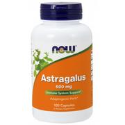 Suplementy naturalne - Now® Foods NOW Astragalus (Traganek), 500 mg, 100 kapsułek - miniaturka - grafika 1
