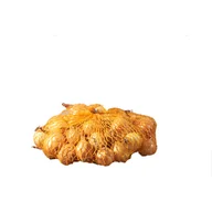 Nasiona i cebule - Cebula dymka Stutgart Riesen 250g Geolia - miniaturka - grafika 1