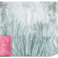 Fototapety - FOTOTAPETA DO SYPIALNI SALONU ABSTRAKCJA LIŚCIE BANANOWE BETON MUR 200x140 - miniaturka - grafika 1