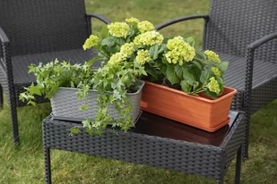 Doniczka balkonowa Draco (60 cm, terakotowy) - Donice - miniaturka - grafika 3