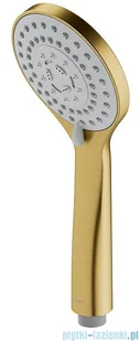 Omnires Y System prysznicowy podtynkowy termostatyczny złoto szczotkowane SYSYT05GLB | - Baterie umywalkowe Omnires Y System prysznicowy podtynkowy termostatyczny złoto szczotkowane SYSYT05GLB | - Baterie umywalkowe - miniaturka - grafika 6