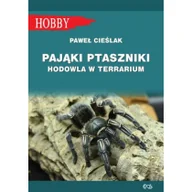 Poradniki hobbystyczne - Pająki Ptaszniki Hodowla W Terrarium Nowa - miniaturka - grafika 1