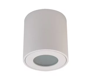 Fara IP54 lampa sufitowa tuba biała do łazienki - Lampy sufitowe - miniaturka - grafika 1