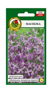 Maciejka 3 g PNOS Ożarów - Nasiona i cebule - miniaturka - grafika 1