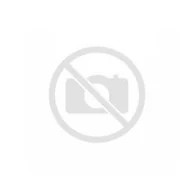 Akcesoria i części AGD - Ślizg dla dzieci Prosperplast - miniaturka - grafika 1