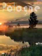 Albumy krajoznawcze - Pologne Wer Francuska Praca zbiorowa - miniaturka - grafika 1