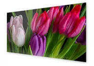 Dekoracje domu - Panel kuchenny HOMEPRINT Kolorowe tulipany 125x50 cm - miniaturka - grafika 1
