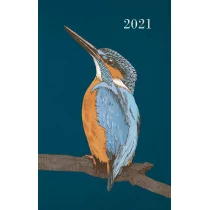 Zielona Sowa Kalendarz 2021 Ptaki - Kalendarze - miniaturka - grafika 1