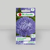Nasiona i cebule - Aster chiński peoniowy Niebieski 1g - Nasiona - W. Legutko - miniaturka - grafika 1
