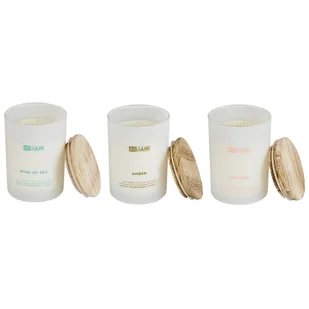 3 świeczki zapachowe sojowe skóra/morska bryza/bursztyn SIMPLICITY - Aromaterapia - miniaturka - grafika 1