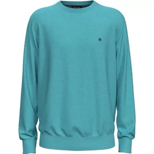 Scotch & Soda Męski sweter Essentials Ecovero wiskozowy nylon Crewneck, Topaz 1651, zielony, topaz 1651, XXL - Koszulki męskie - miniaturka - grafika 1