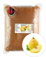 Soki i napoje niegazowane - Sok z Pigwowca 100% 3L - miniaturka - grafika 1
