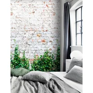 Tapety - Tapeta panoramiczna Biała Cegła 159 x 280 cm - miniaturka - grafika 1