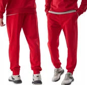 Spodnie męskie - Dresowe długie spodnie męskie 4F - miniaturka - grafika 1