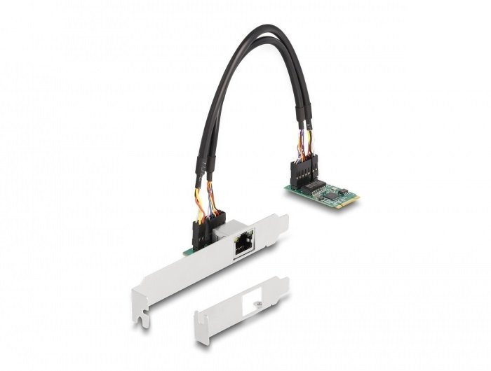 Delock DeLOCK Konwerter M.2 z kluczem B+M 1 x RJ45 2,5 Gigabit LAN