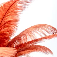 Lampy stojące - KARE Feather Palm lampa stołowa z piórami, rdza - miniaturka - grafika 1