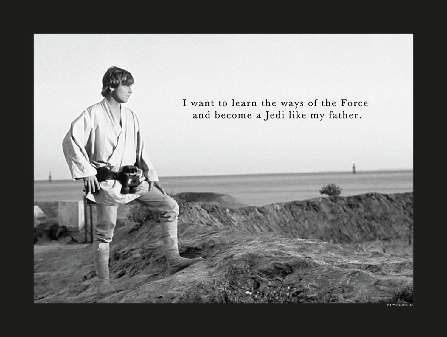 Disney plakat Cytat Luke'a z Gwiezdnych Wojen czarno-białym - 610257 - 40 x 30 cm
