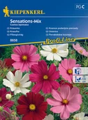 Nasiona i cebule - Kosmos Podwójnie Pierzasty Sensations-Mix - miniaturka - grafika 1