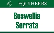 Akcesoria jeździeckie - EQUIHERBS Boswellia Seratta Kadzidłowiec 1 kg - - miniaturka - grafika 1
