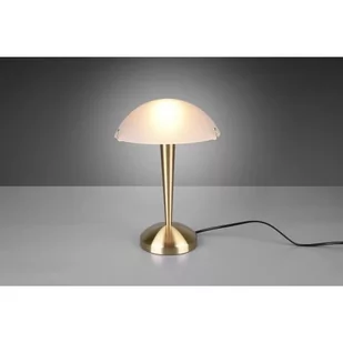 Pilz II lampa stołowa 1-punktowa mosiądz/biała R59261008 - Lampy stojące - miniaturka - grafika 1