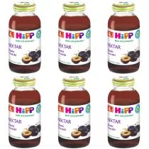 Hipp Nektar śliwki gruszki po 4. miesiącu zestaw 6 x 200 ml Bio - Soki i herbatki dla dzieci - miniaturka - grafika 1
