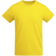 Koszulki sportowe męskie - Męska Koszulka Breda Plain T-shirt - miniaturka - grafika 1