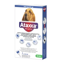 Krka ataxxa 4 ml powyżej 25kg - 1 pipeta - Artykuły przeciw pasożytom - miniaturka - grafika 1