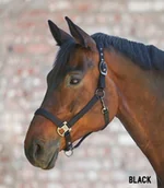 Kantary dla koni - Waldhausen Kantar GLOOMY - miniaturka - grafika 1