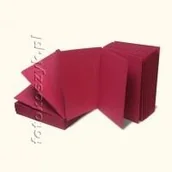 Albumy fotograficzne - Jamnik Bordowy Mieszany (wkłady na zdjęcia 15x21) - miniaturka - grafika 1