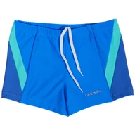 Sortery dla dzieci - ND05_S11844-140cm kol.3 Spodenki kapielowe dla ch - miniaturka - grafika 1