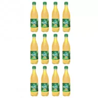 Napoje gazowane - Bio Linie Kombucha herbata zielona z aloe vera zgrzewka 12 x 500 ml Bio - miniaturka - grafika 1