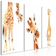 Obrazy i zdjęcia na płótnie - Obraz - Śmieszne żyrafy (3-częściowy) (rozmiar 60x30) - miniaturka - grafika 1