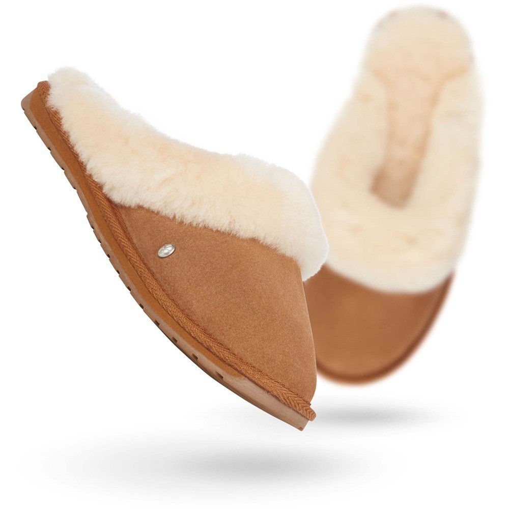 Jolie Chestnut