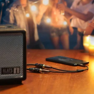 Ugreen kabel przewód audio 3,5 mm mini jack - 2xRCA (żeńskie) 25 cm czarny (AV194 50129) - Kable USB - miniaturka - grafika 6