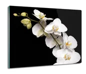 Deski do krojenia - osłona splashback z foto Storczyk orchidea 60x52, ArtprintCave - miniaturka - grafika 1