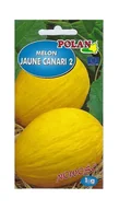 Nasiona i cebule - Melon Joune Canari 2 1 g POLAN - miniaturka - grafika 1