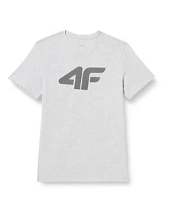 Koszulki męskie - 4F T-shirt męski, Cold Light Grey Melange, XL - grafika 1