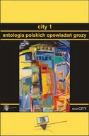 E-booki - kryminał i sensacja - Antologia polskich opowiadań grozy. City. Tom 1 - miniaturka - grafika 1