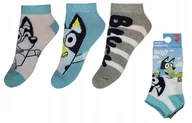 Skarpetki damskie - BLUEY SKARPETKI STOPKI CHŁOPIĘCE DLA DZIECKA ZESTAW WIOSNA LATO 3-PAR 23/26 - miniaturka - grafika 1