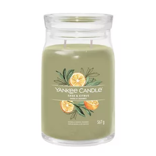 YANKEE CANDLE SAGE & CITRUS 567.0 g - Świece YANKEE CANDLE SAGE & CITRUS 567.0 g - Świece - miniaturka - grafika 1