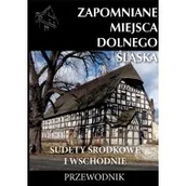 Przewodniki - Zapomniane miejsca Dolnego Śląska w.2 - miniaturka - grafika 1